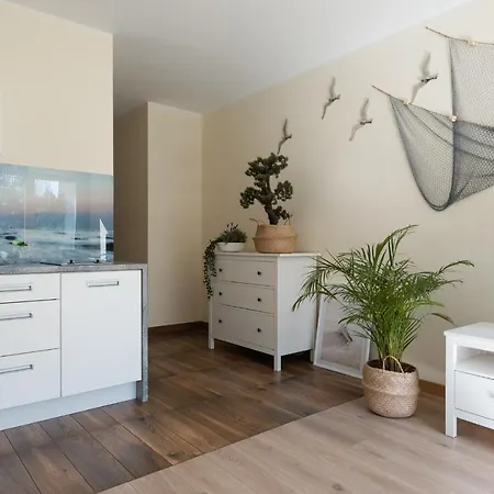 Maestro Apartament *