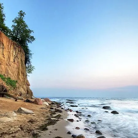 Apartament Maestro *