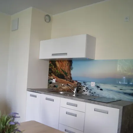 Apartament Maestro *